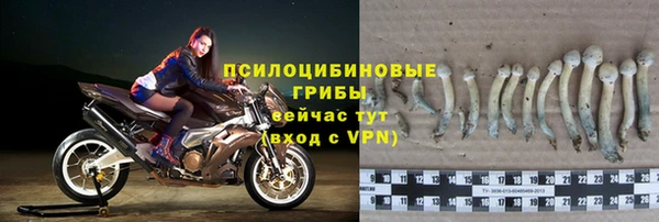экстази Алзамай