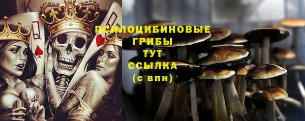 героин Алексин