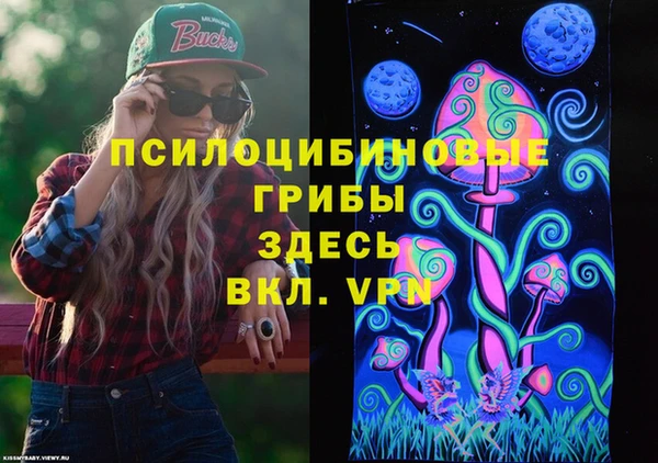 героин Алексин